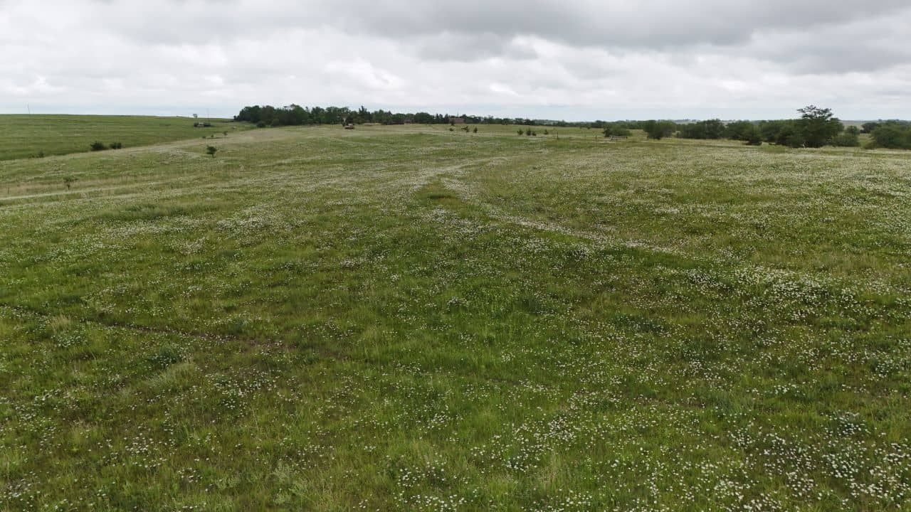 Listing Photo: johnson-county-ne-158-acres